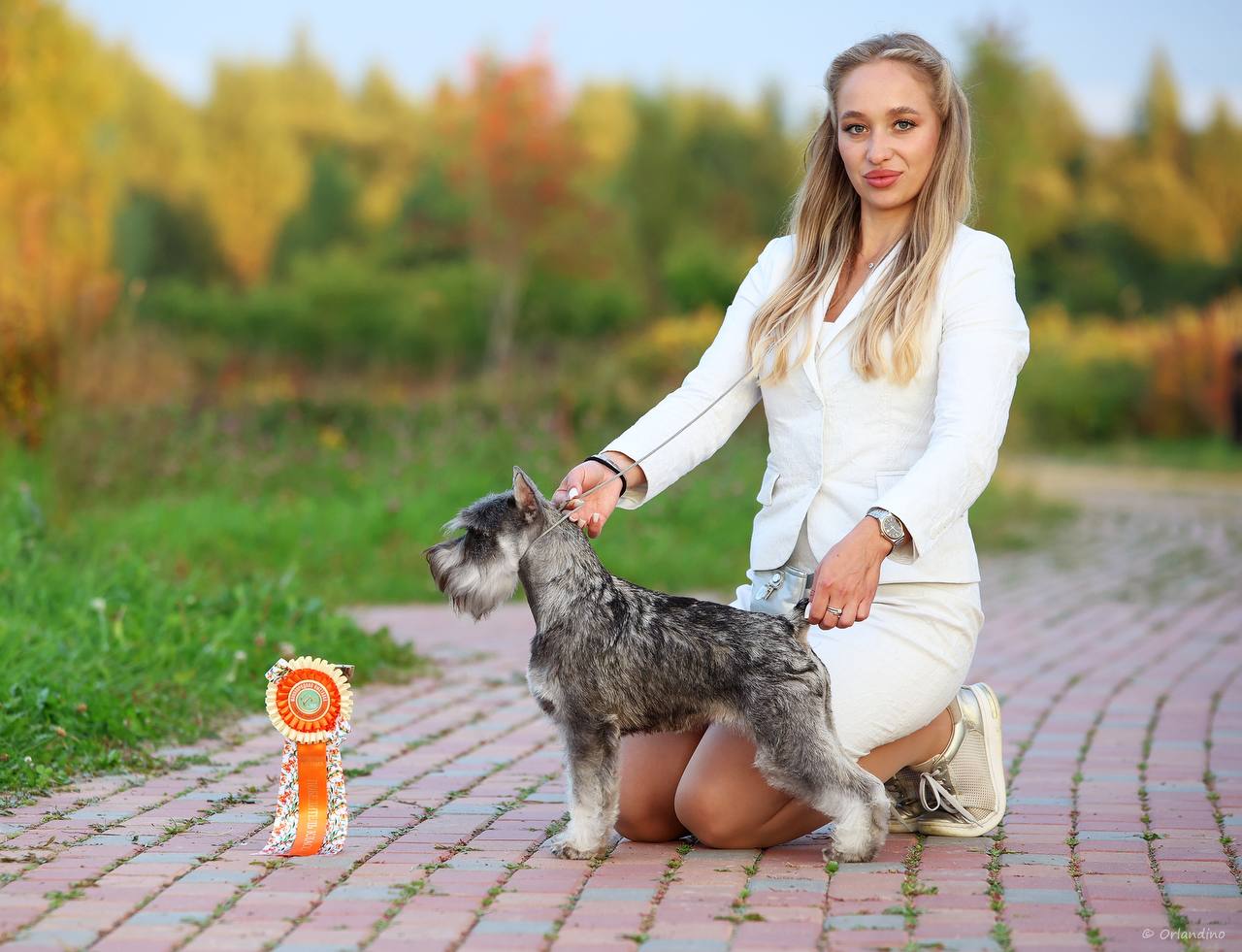 АМОРИ МАРТИ ОДЕЛИСА *ОЛЛИ*