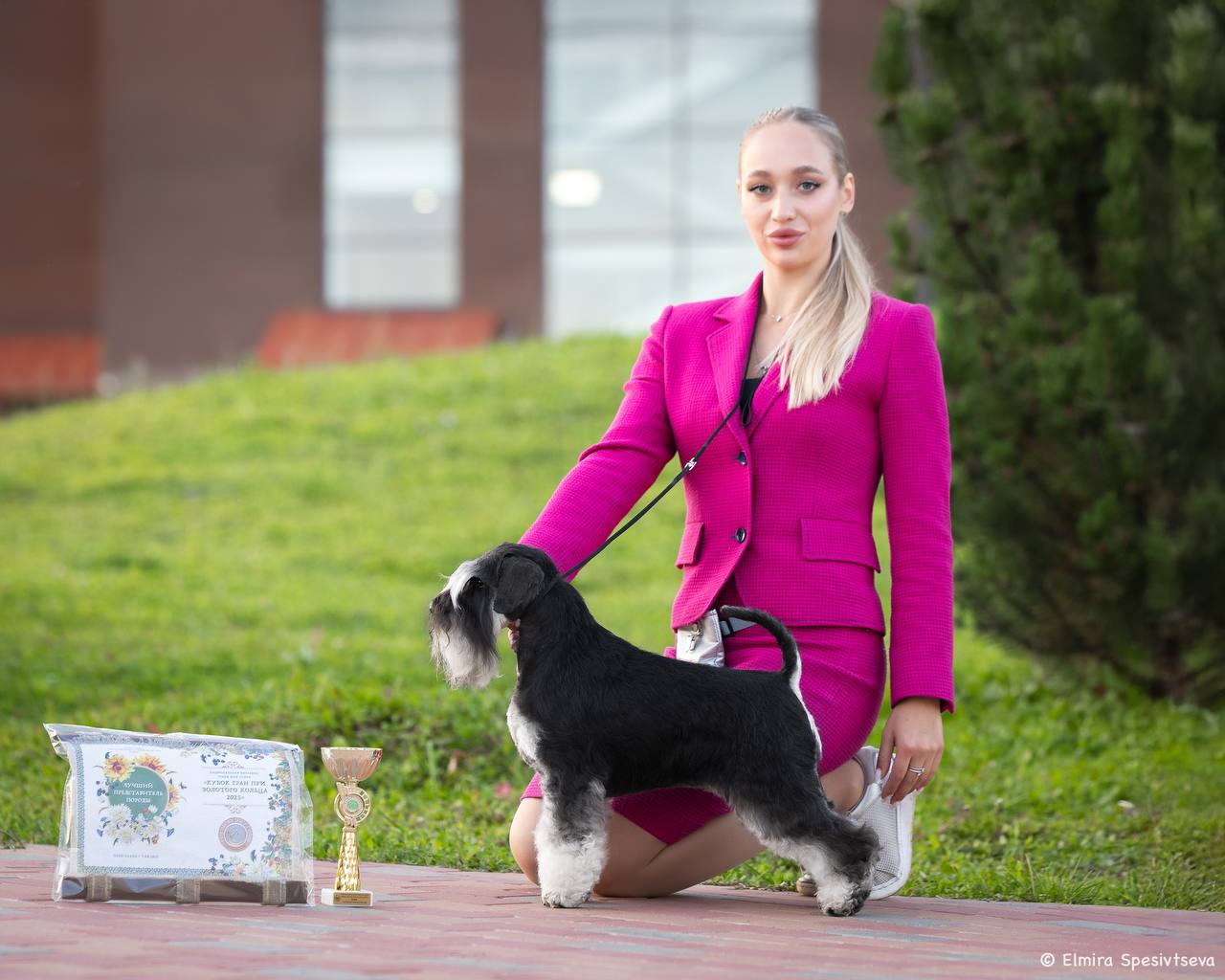 АМОРИ МАРТИ МАНТИССА «ДЭЙЗИ»