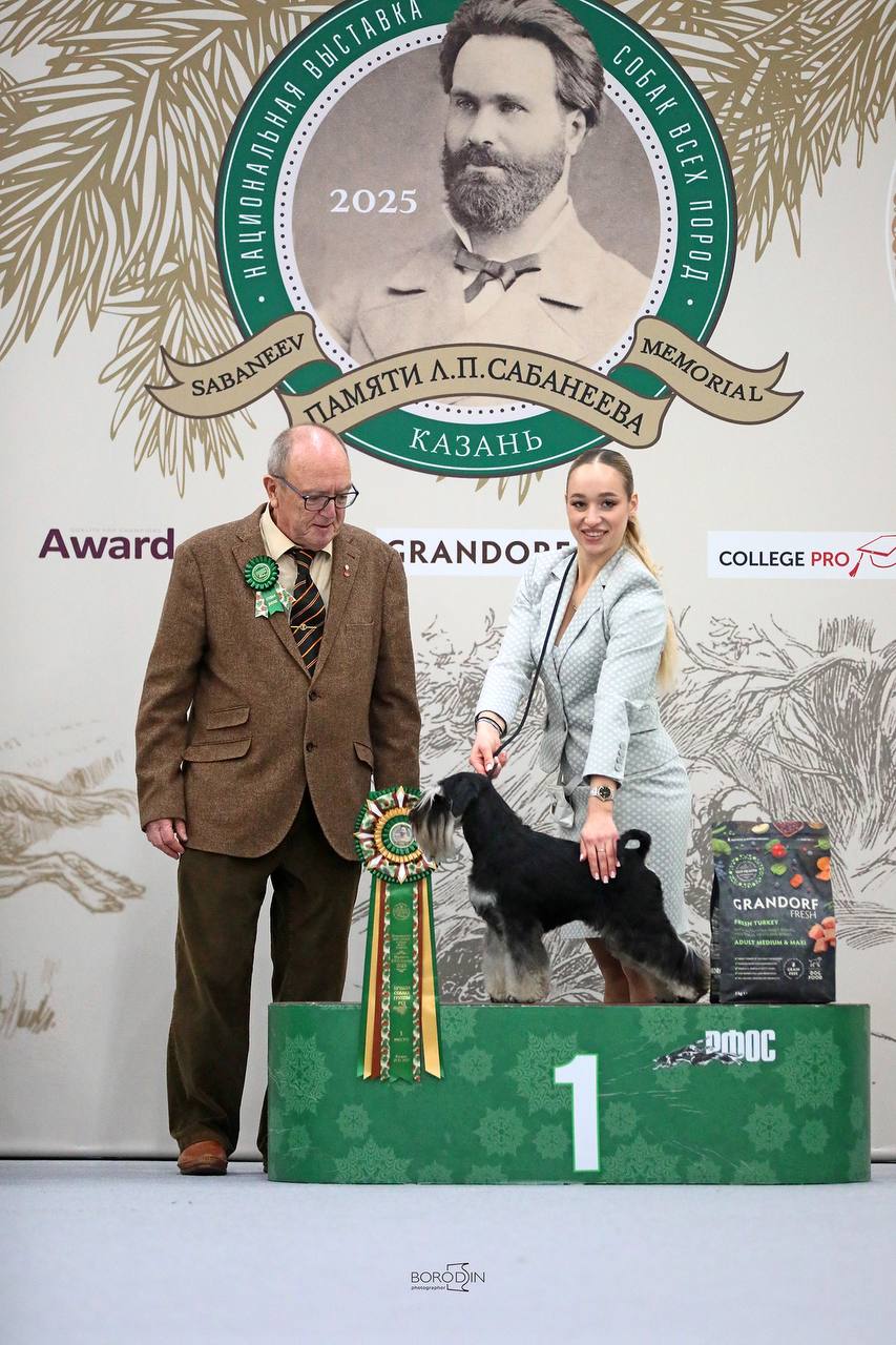 АМОРИ МАРТИ НОЭЛЬ